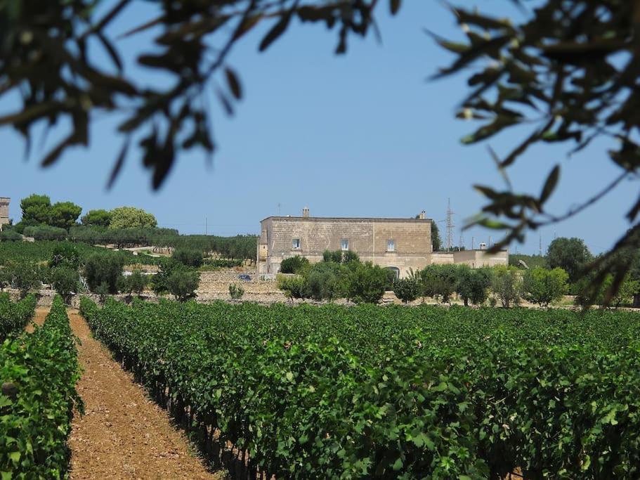 Villa Castelli Masseria Angiulli Piccolo Contrada Angiulli 74023 Grottaglieヴィラ エクステリア 写真