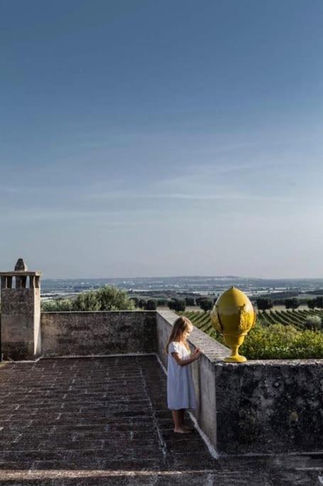 Villa Castelli Masseria Angiulli Piccolo Contrada Angiulli 74023 Grottaglieヴィラ エクステリア 写真